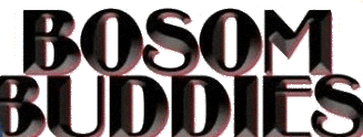 BOSOM BUDDIES : 1980 ABC TV Series 11/27/80 - 05/27/82 Season 1 , 2 (37 Episodes)