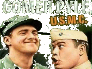GOMER PYLE U.S.M.C. : 1964 CBS TV Series 09/25/64 - 05/02/69 Season 1 , 2 , 3 , 4 , 5 (150 Episodes)