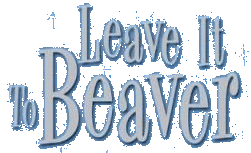 LEAVE IT TO BEAVER : 1957 CBS-ABC TV Series 10/04/57 - 06/20/63 Season 1 , 2 , 3 , 4 , 5 , 6 (234 Episodes)