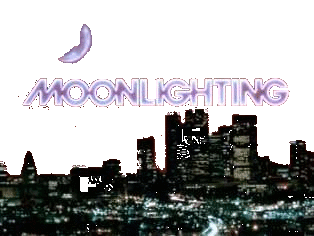 Moonlighting : 1985  ABC TV Series 03/03/85 - 05/14/89 Season 1 , 2 , 3 , 4 , 5  (66 Episodes)